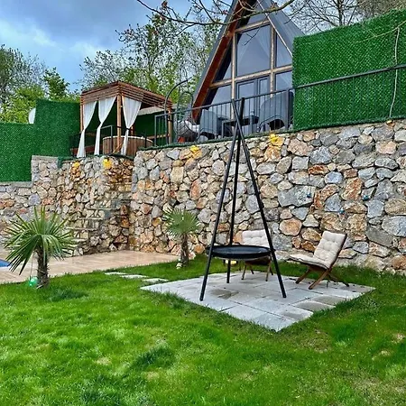 Viola Bungalov